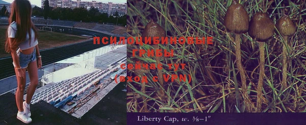 герыч Лагань