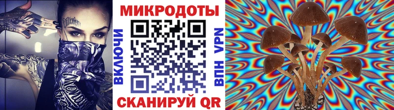 Псилоцибиновые грибы мицелий  Купить закладки  Урус-Мартан 